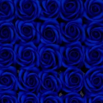 Trandafiri Albaștrii Marin din Săpun