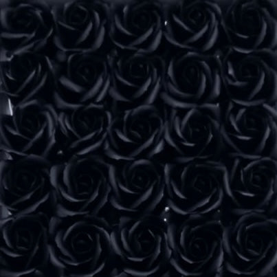 Trandafiri Negrii din Săpun