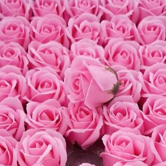Trandafiri Roz Bonbon